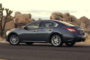 09 Maxima L42C