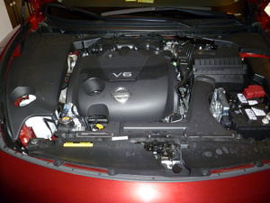 2010 Nissan Maxima SV - Phil Engine