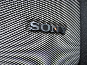 2011 Ford F-150 Sony Speaker Detail