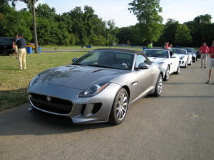 Jaguar Land Rover Event 2014.06.29 - F-Type Lineup